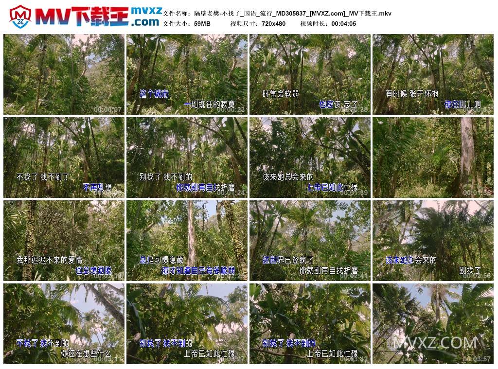 隔壁老樊-不找了_国语_流行_MD305837